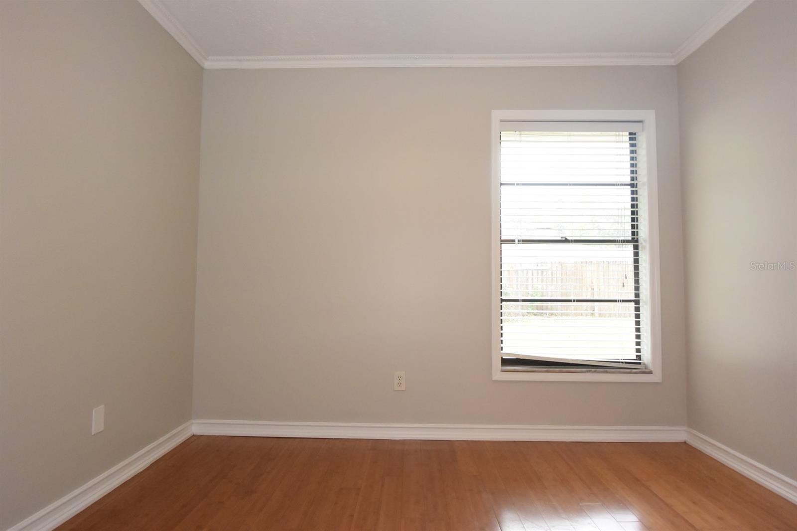 2316 WINDSOR OAKS AVE, LUTZ, FL, 33549