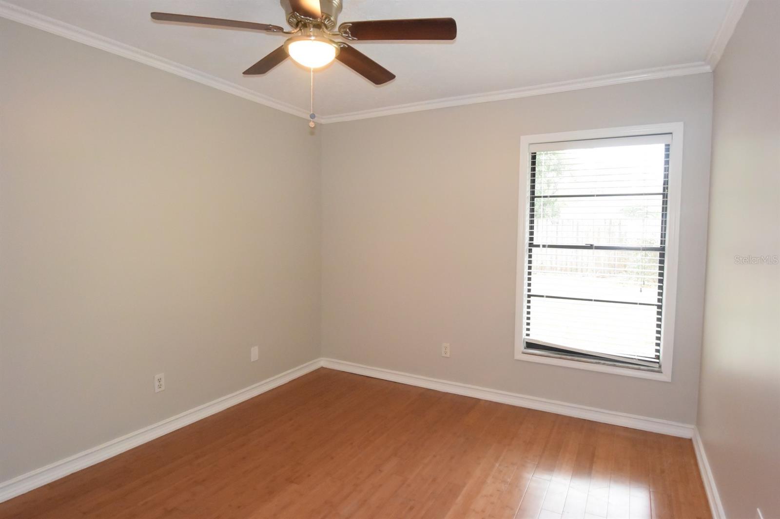 2316 WINDSOR OAKS AVE, LUTZ, FL, 33549