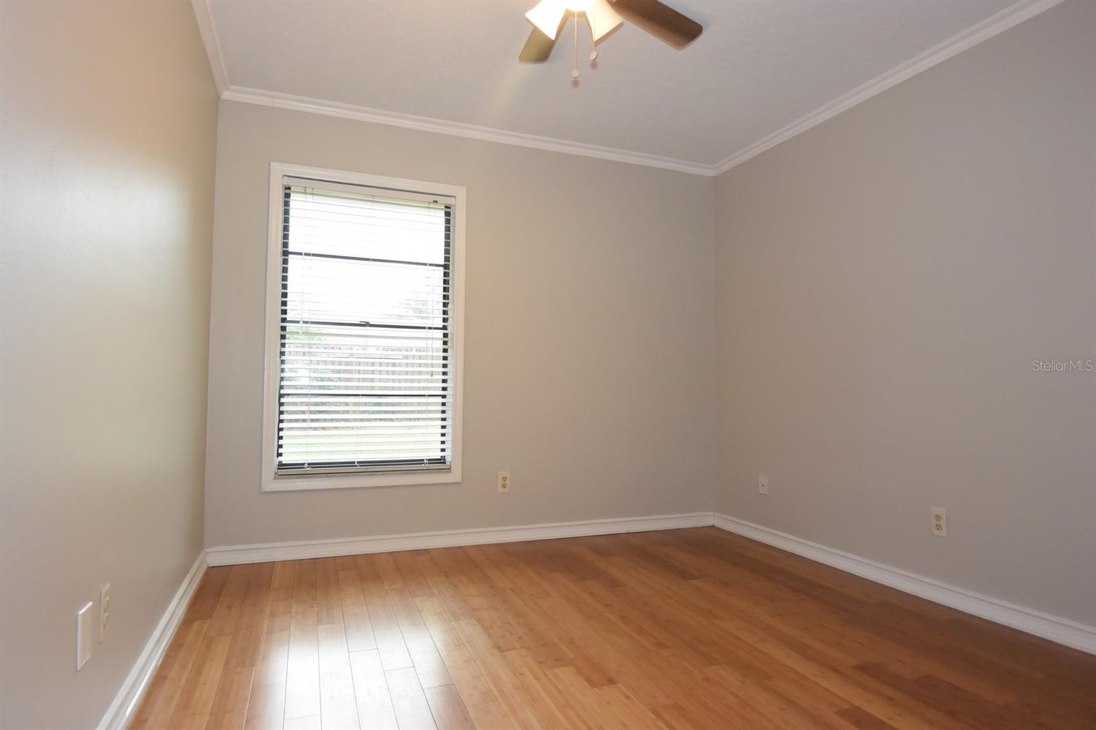 2316 WINDSOR OAKS AVE, LUTZ, FL, 33549