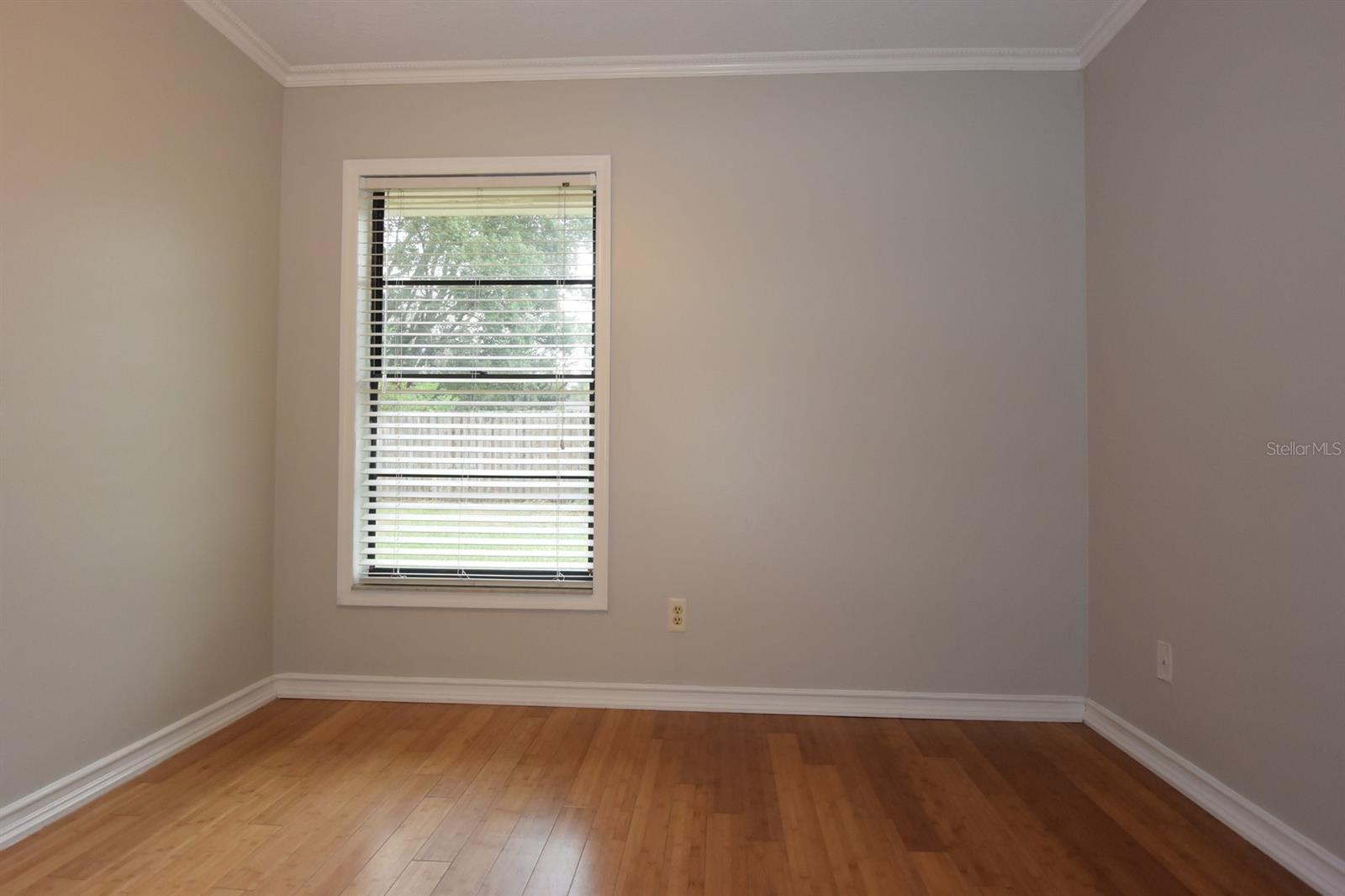 2316 WINDSOR OAKS AVE, LUTZ, FL, 33549