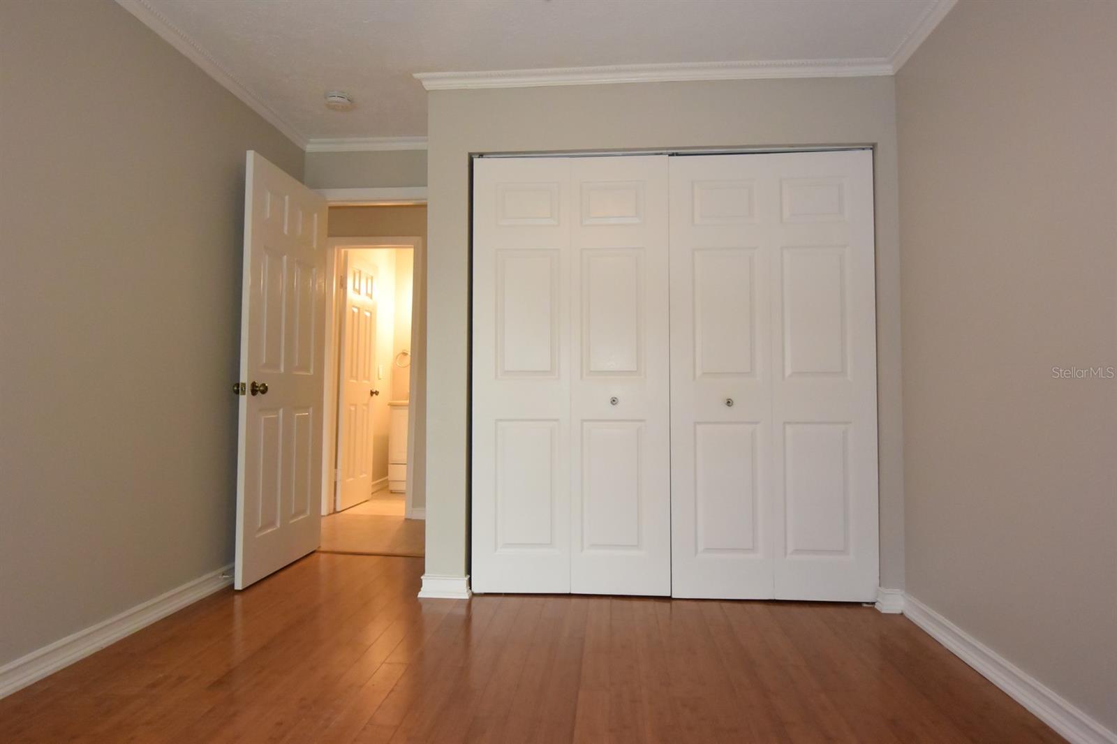 2316 WINDSOR OAKS AVE, LUTZ, FL, 33549