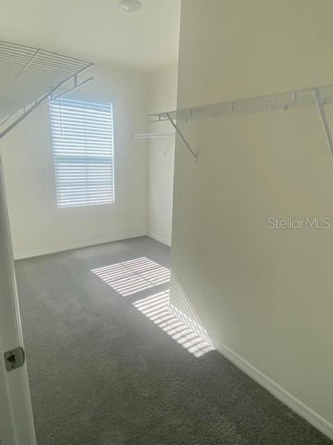 2714 LOTUS FLOWER TRL, WESLEY CHAPEL, FL, 33543