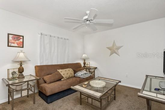 SPRING HILL, SPRING HILL, FL, 34608
