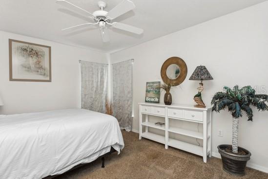 SPRING HILL, SPRING HILL, FL, 34608