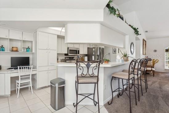SPRING HILL, SPRING HILL, FL, 34608