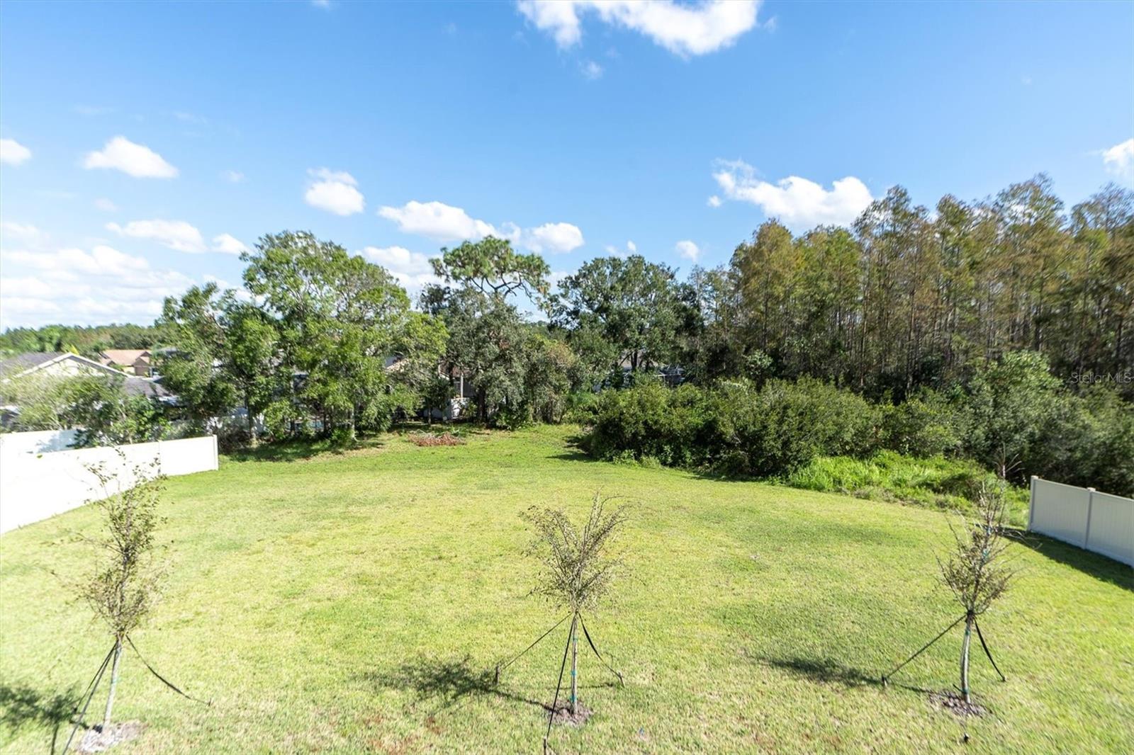 19803 CYPRESS BRIDGE DR, ODESSA, FL, 33556