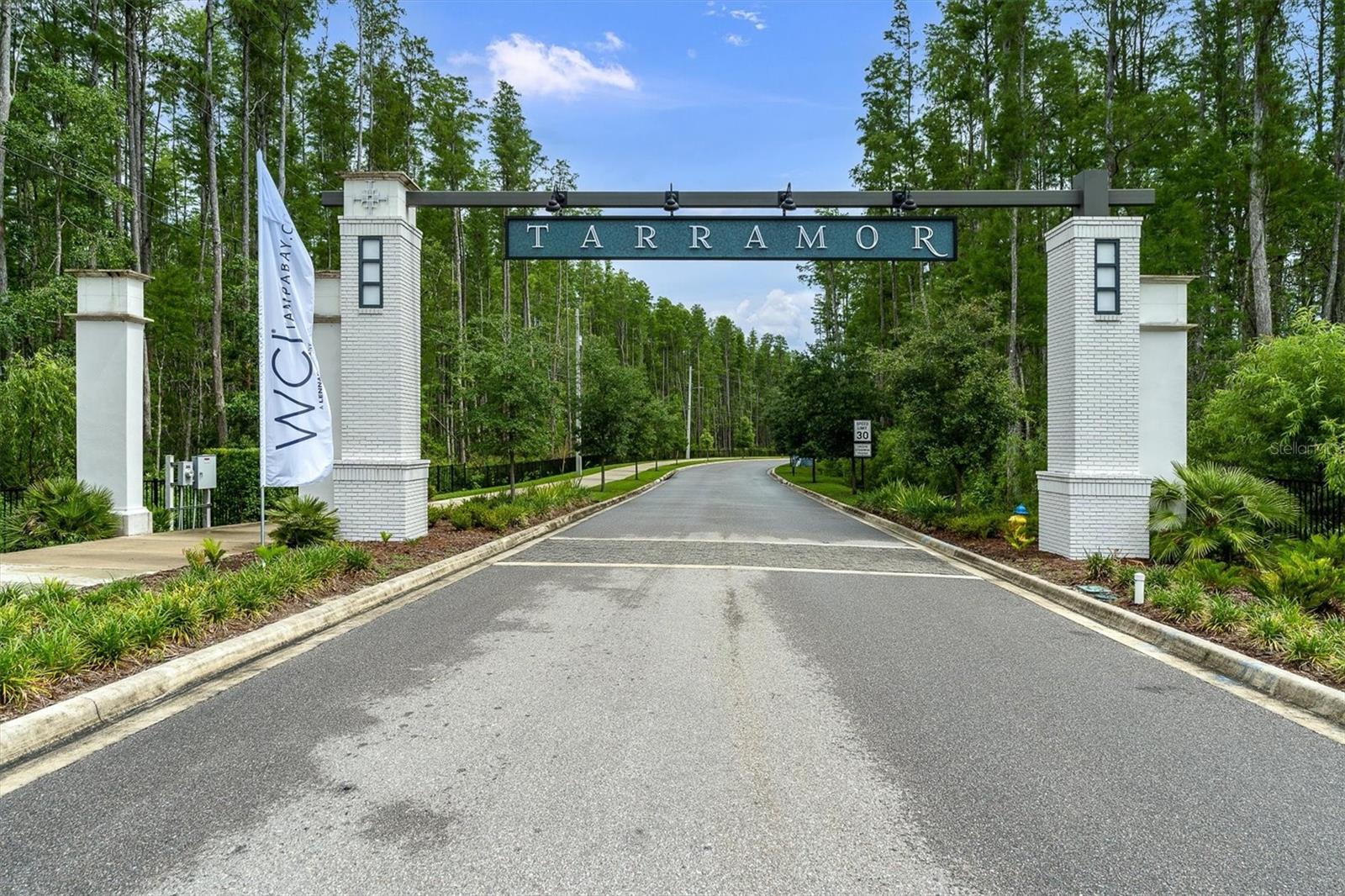 19803 CYPRESS BRIDGE DR, ODESSA, FL, 33556