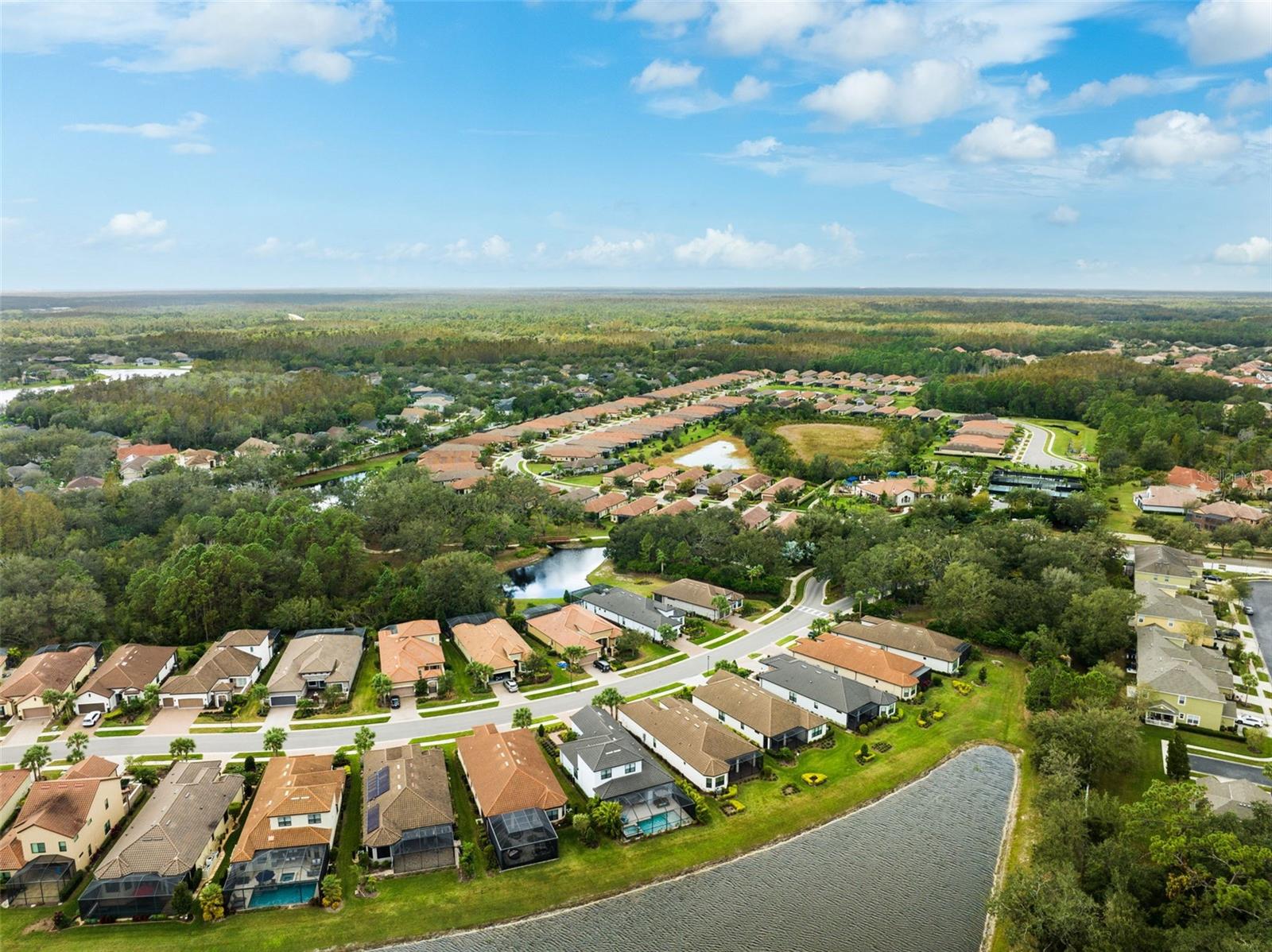 8520 GRAND ALBERATO RD, TAMPA, FL, 33647