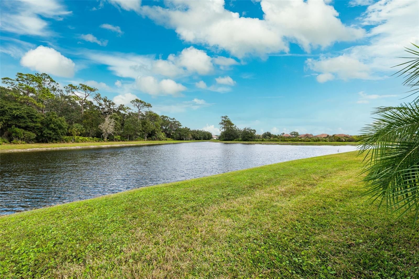 8520 GRAND ALBERATO RD, TAMPA, FL, 33647