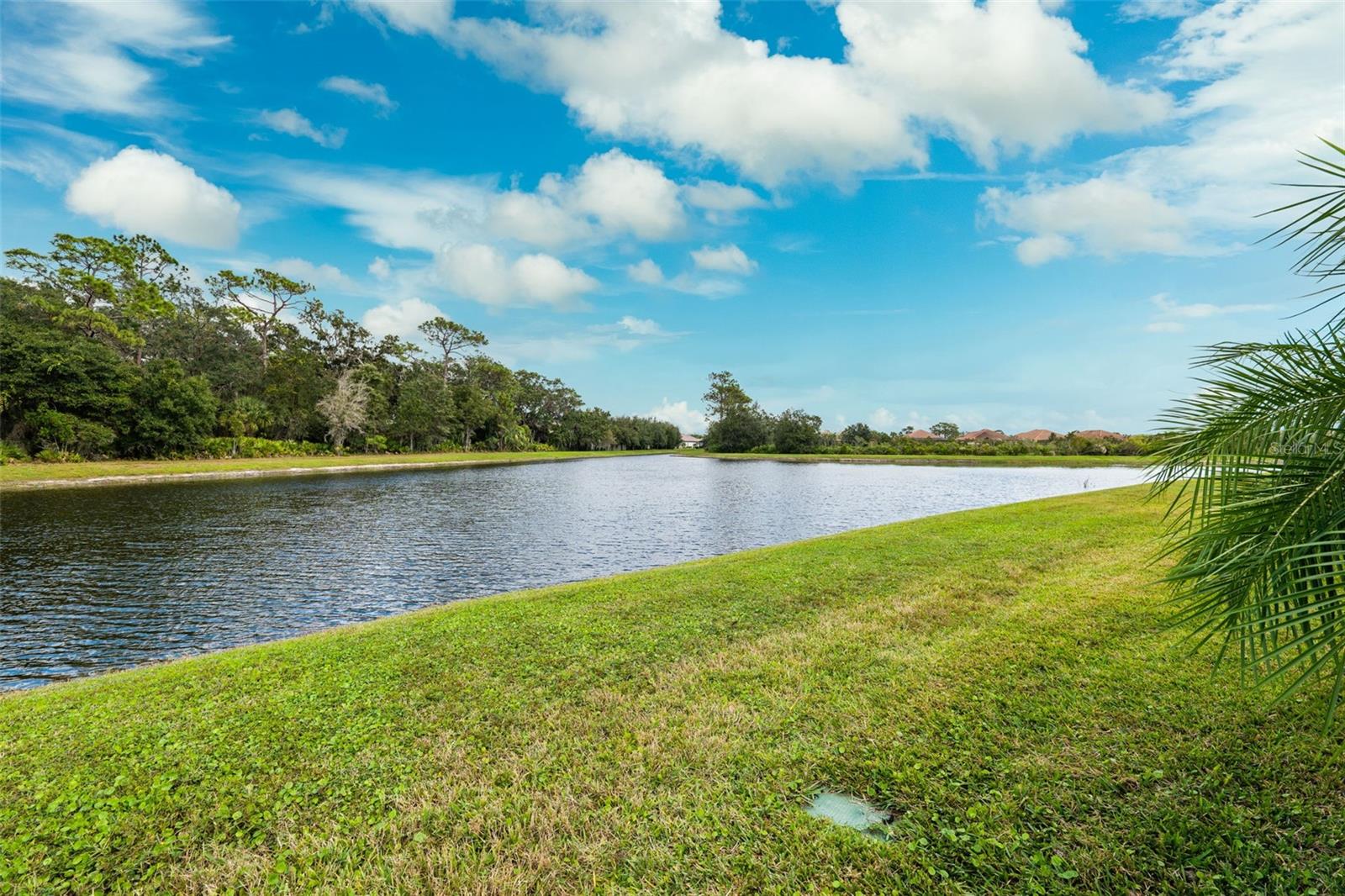 8520 GRAND ALBERATO RD, TAMPA, FL, 33647