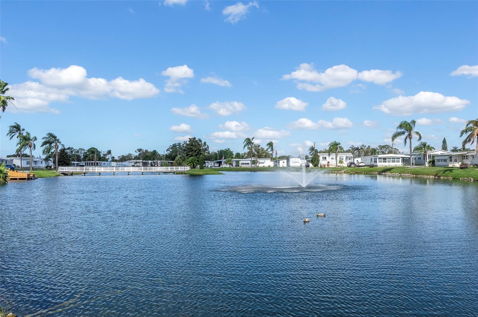 1500 COUNTY ROAD 1 #251, DUNEDIN, FL, 34698
