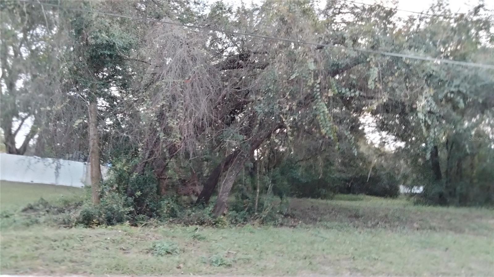 ) SHEELER OAKS DR, APOPKA, FL, 32703