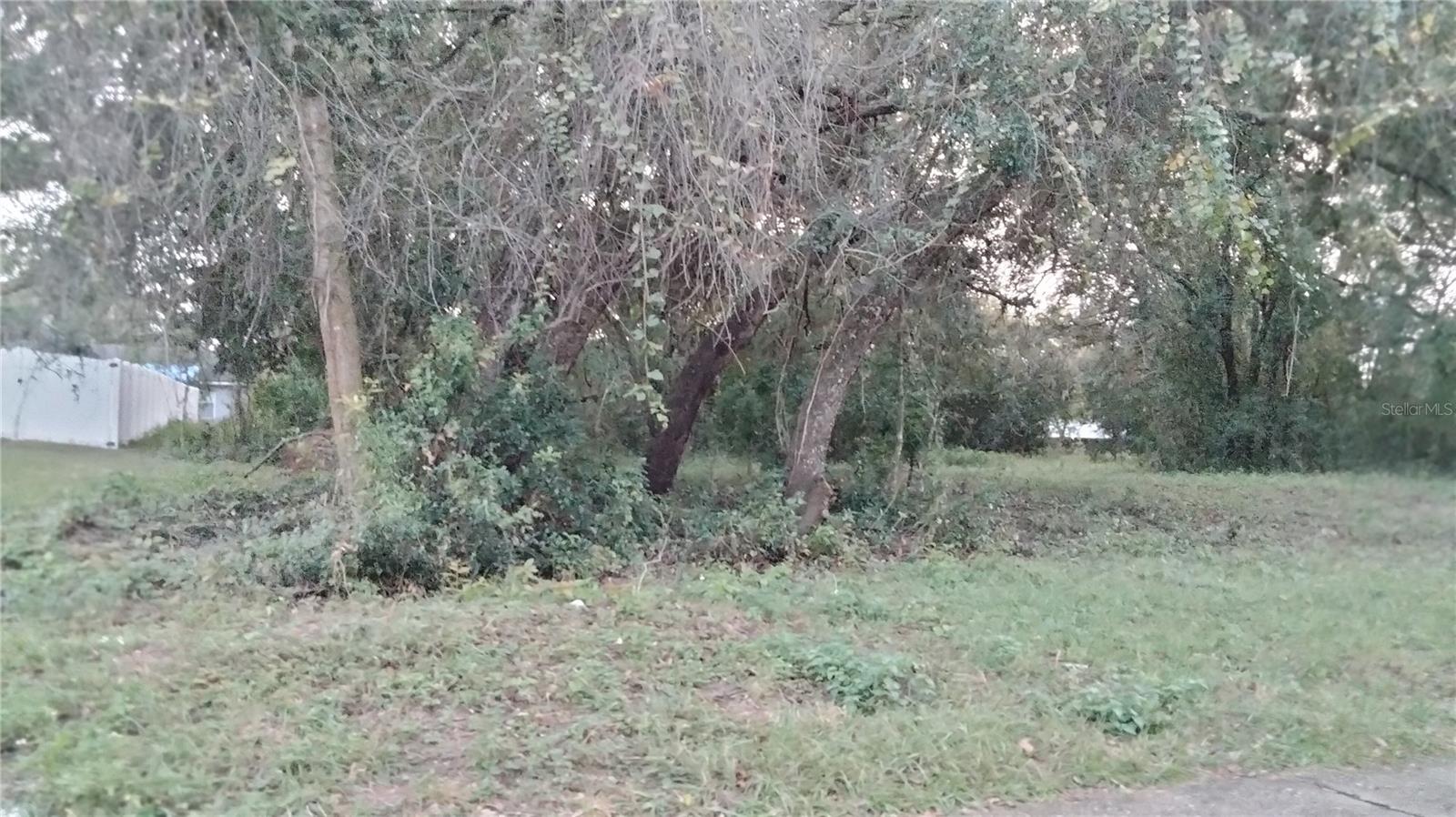 ) SHEELER OAKS DR, APOPKA, FL, 32703