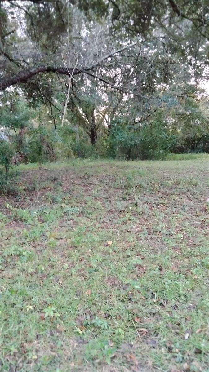 ) SHEELER OAKS DR, APOPKA, FL, 32703
