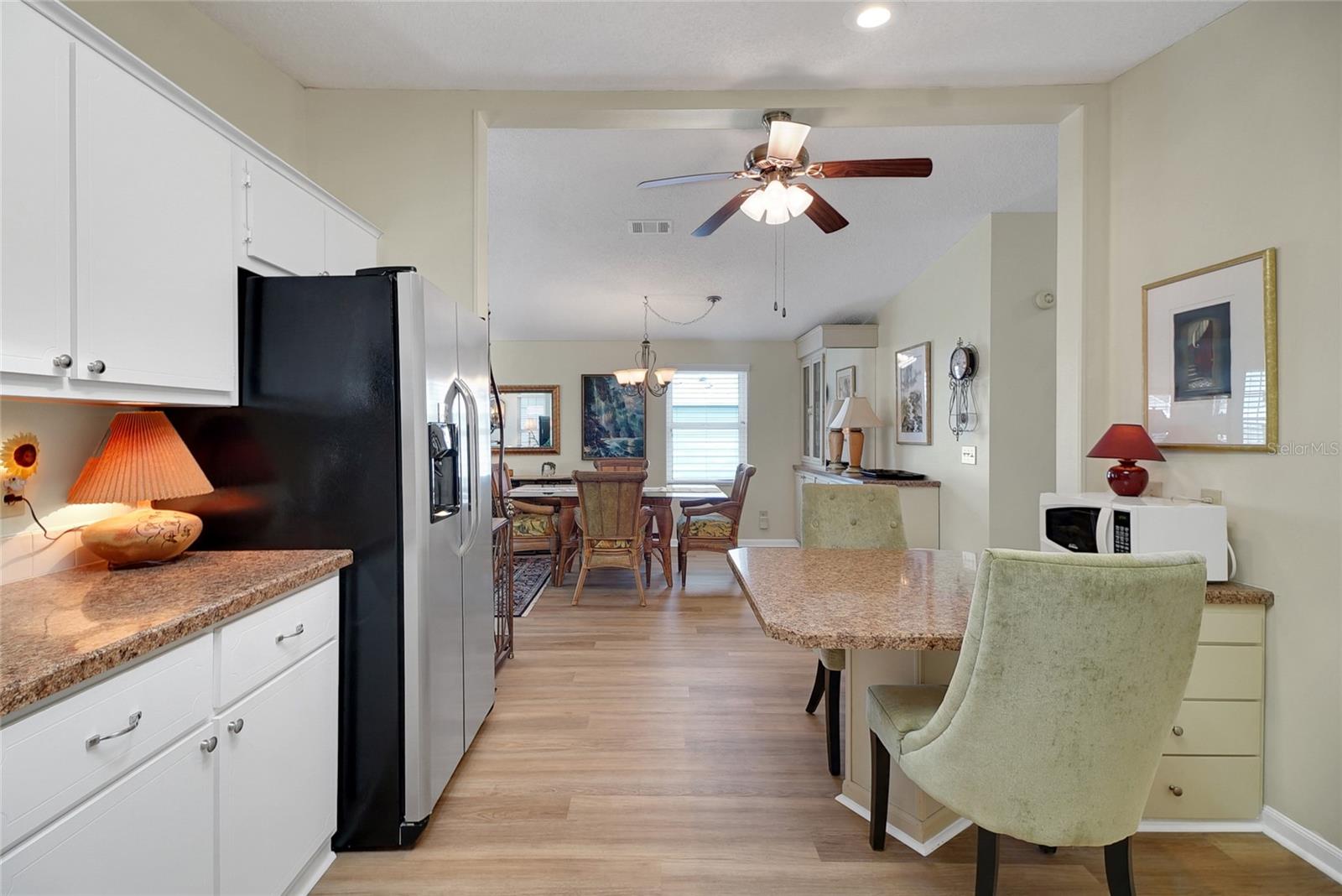 1112 PARADISE DR, THE VILLAGES, FL, 32159