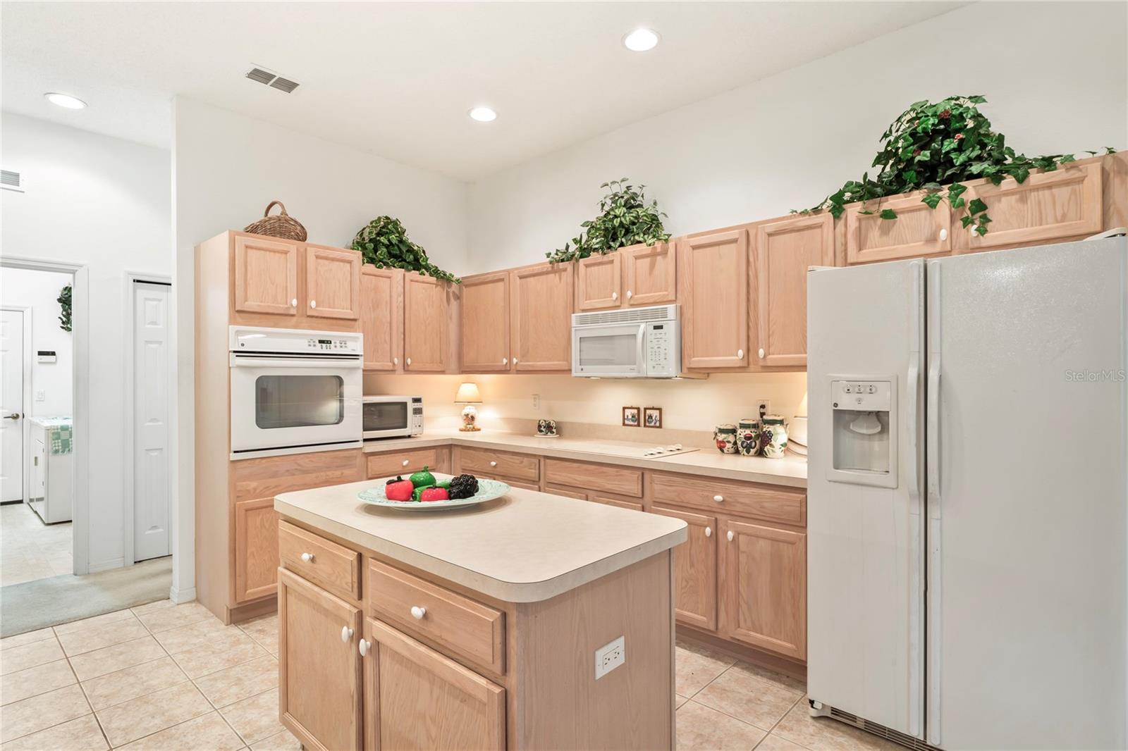 483 QUANE AVE, SPRING HILL, FL, 34609
