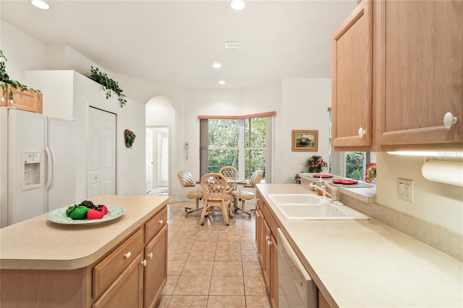 483 QUANE AVE, SPRING HILL, FL, 34609