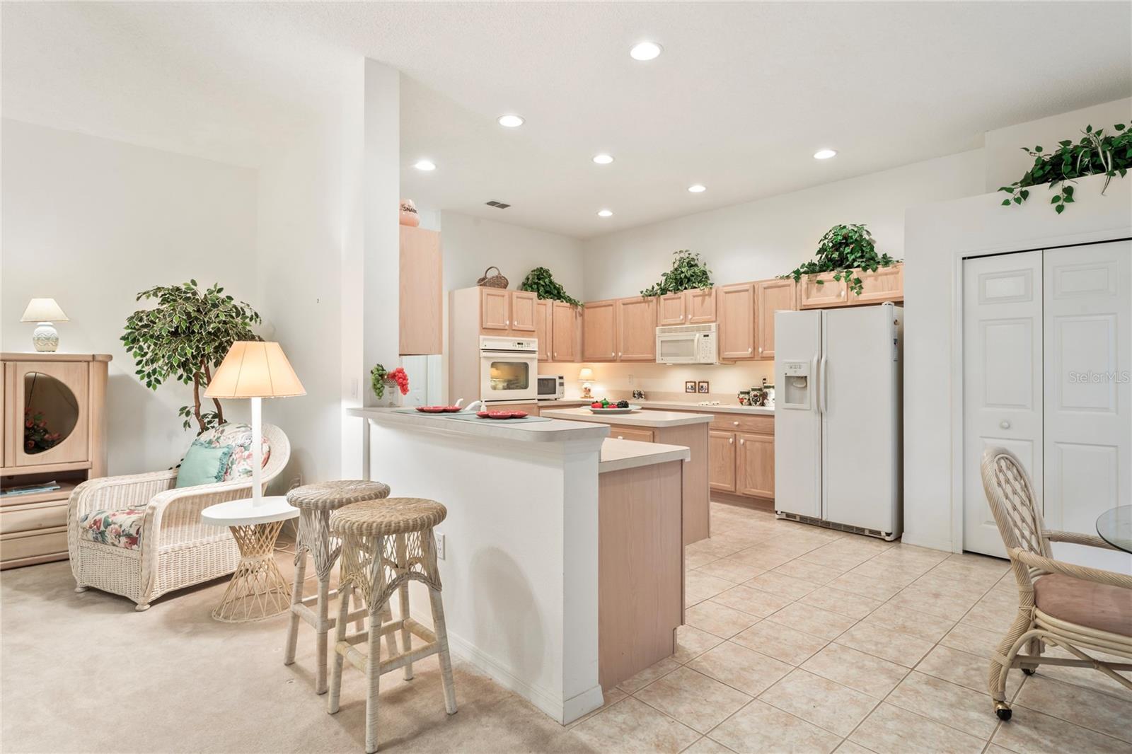 483 QUANE AVE, SPRING HILL, FL, 34609