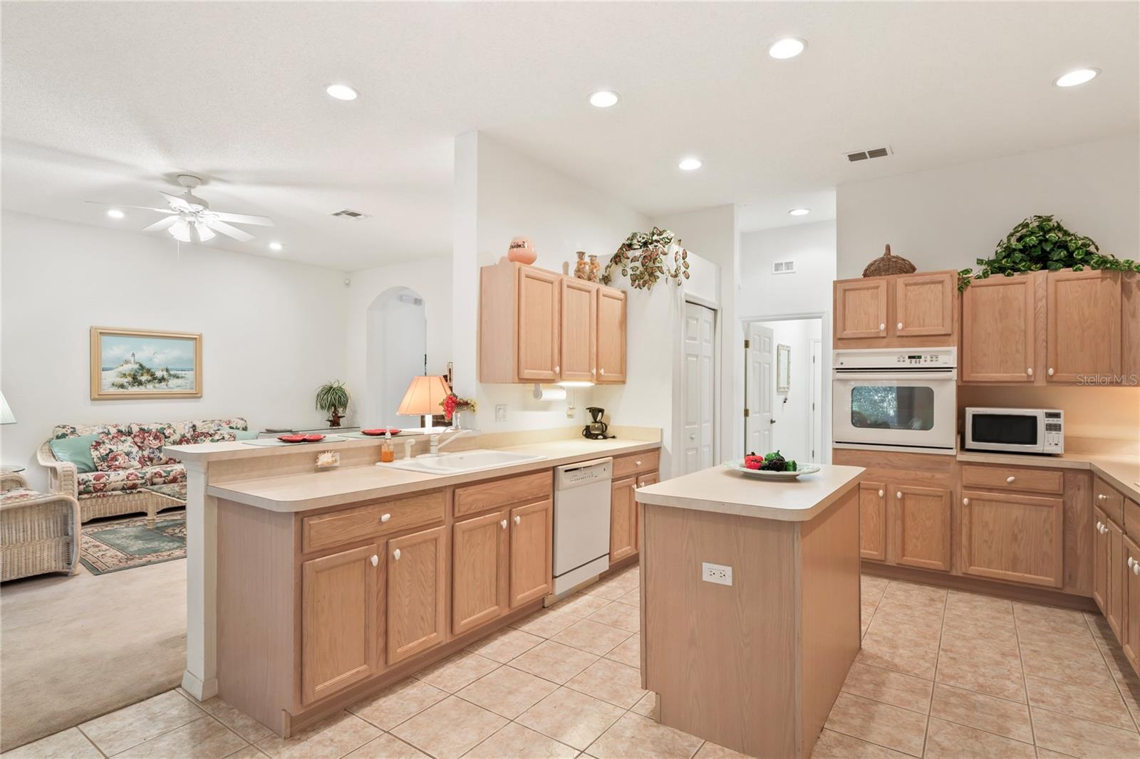 483 QUANE AVE, SPRING HILL, FL, 34609