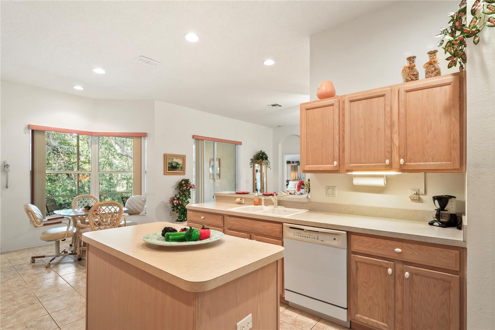 483 QUANE AVE, SPRING HILL, FL, 34609