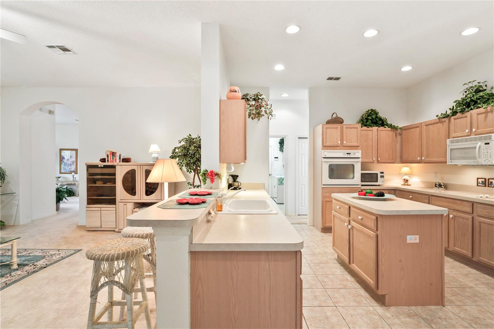 483 QUANE AVE, SPRING HILL, FL, 34609