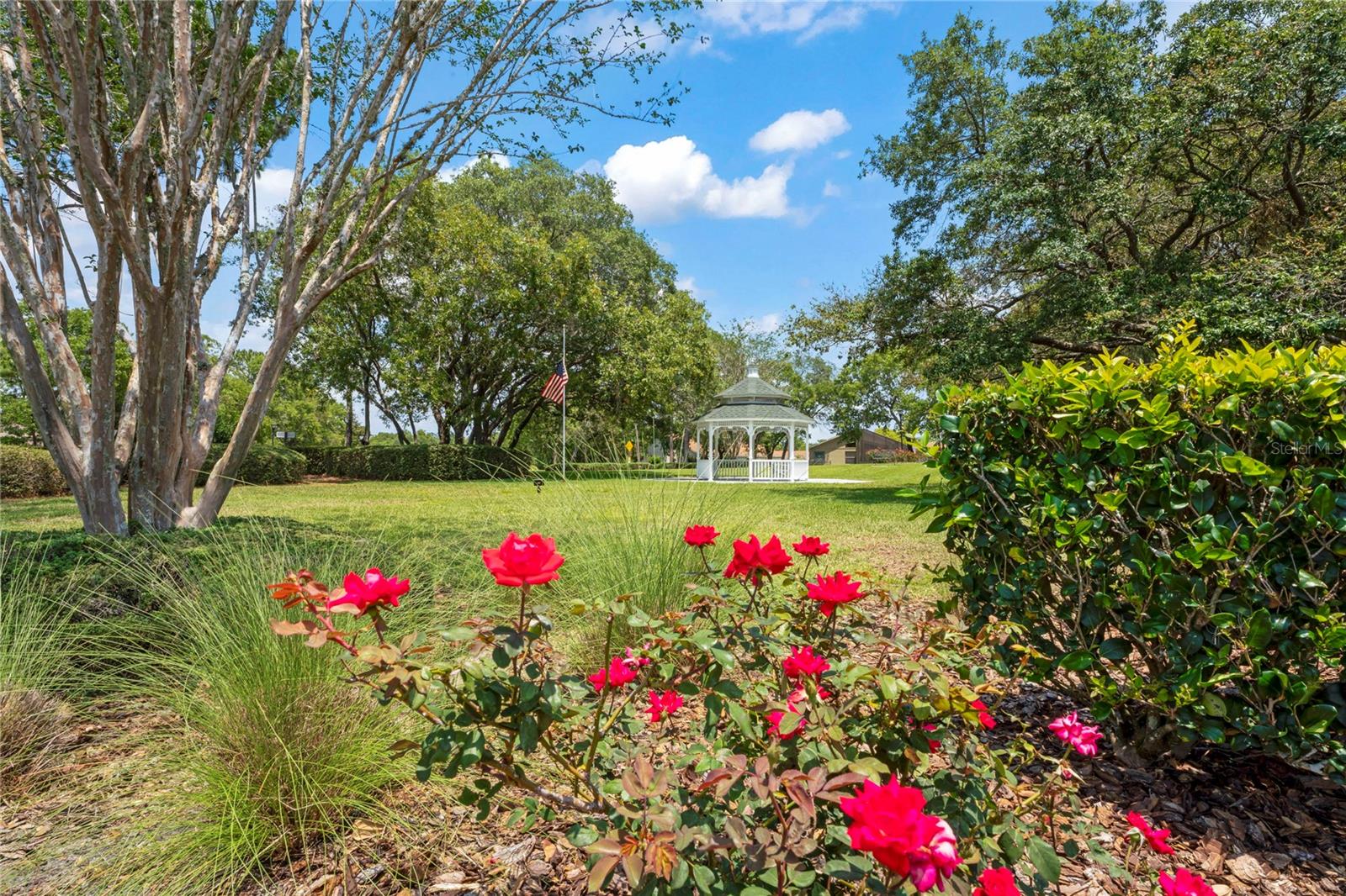 483 QUANE AVE, SPRING HILL, FL, 34609