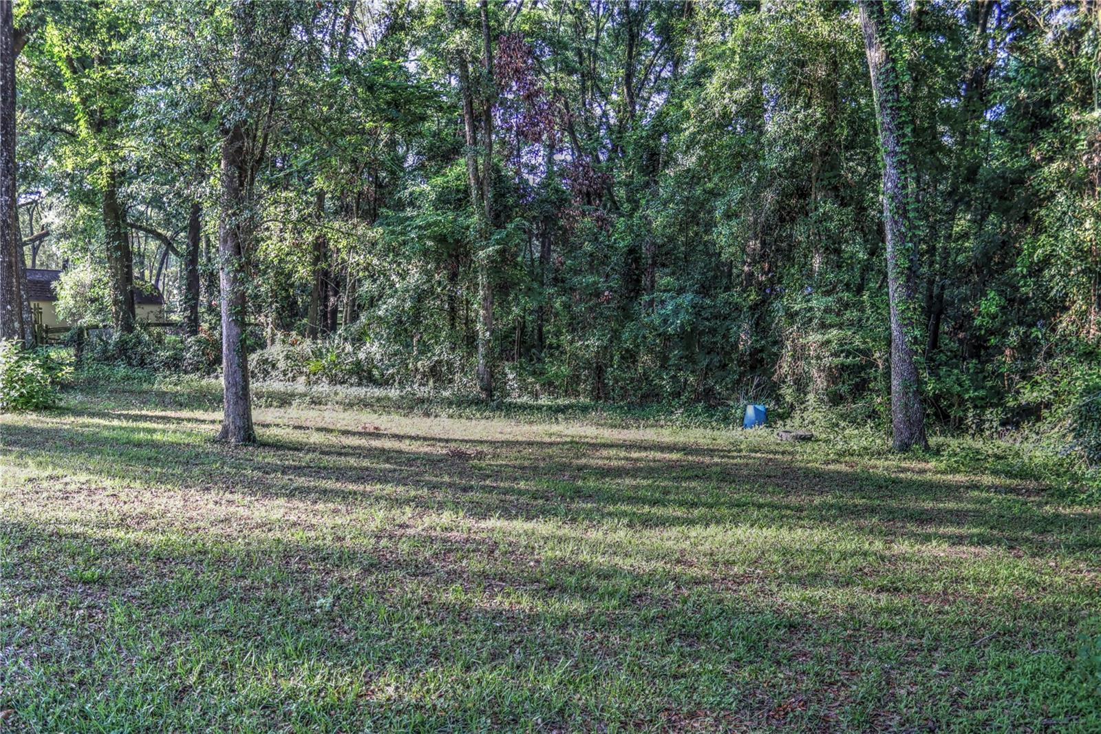 7170 NW 167TH PL, TRENTON, FL, 32693