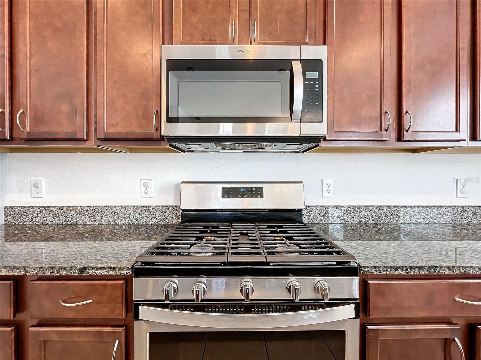 6317 HAMLIN RESERVE BLVD, WINTER GARDEN, FL, 34787