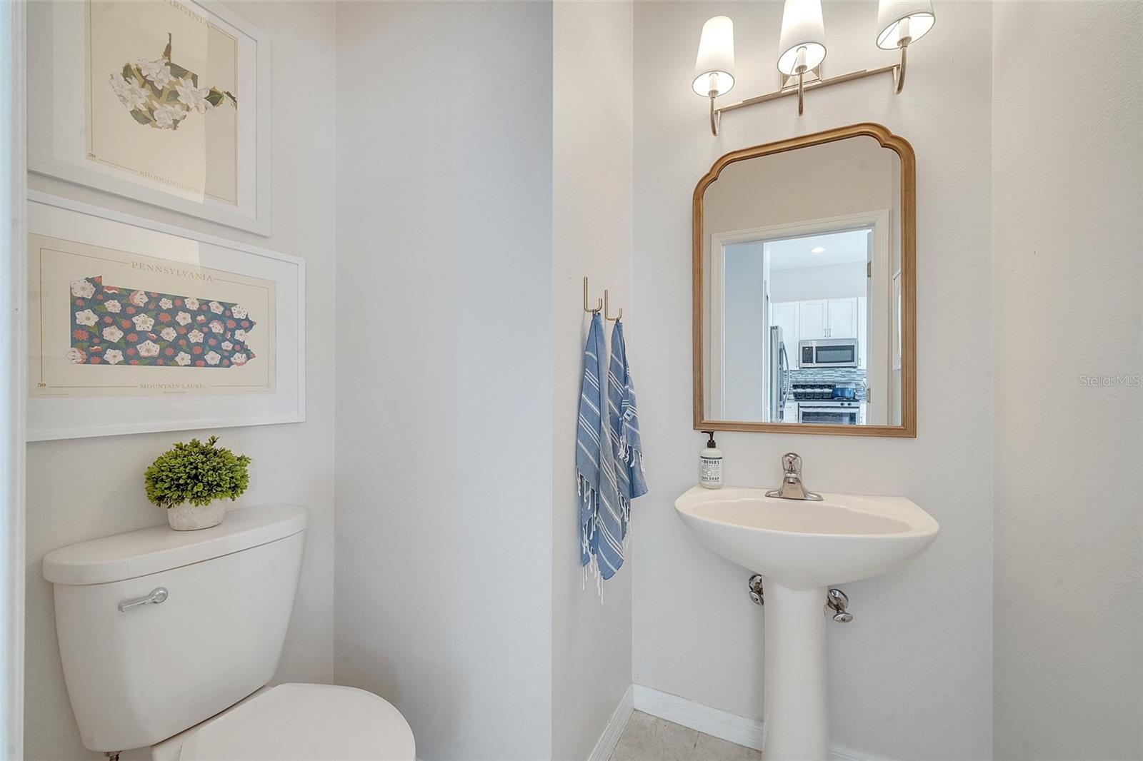 13780 BLUEBIRD POND RD, WINDERMERE, FL, 34786