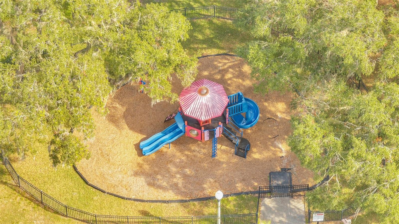 13780 BLUEBIRD POND RD, WINDERMERE, FL, 34786