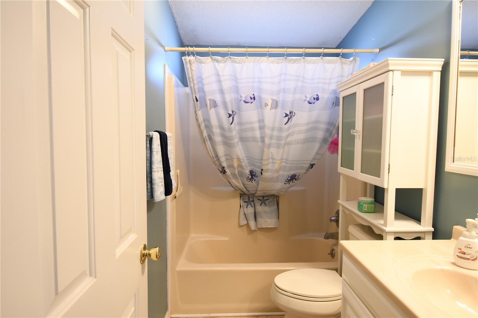 1153 DEL TORO DR, THE VILLAGES, FL, 32159