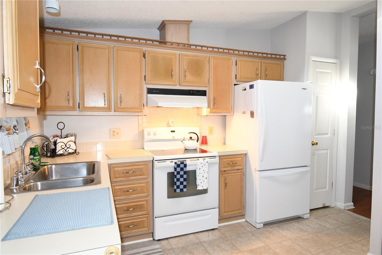 1153 DEL TORO DR, THE VILLAGES, FL, 32159