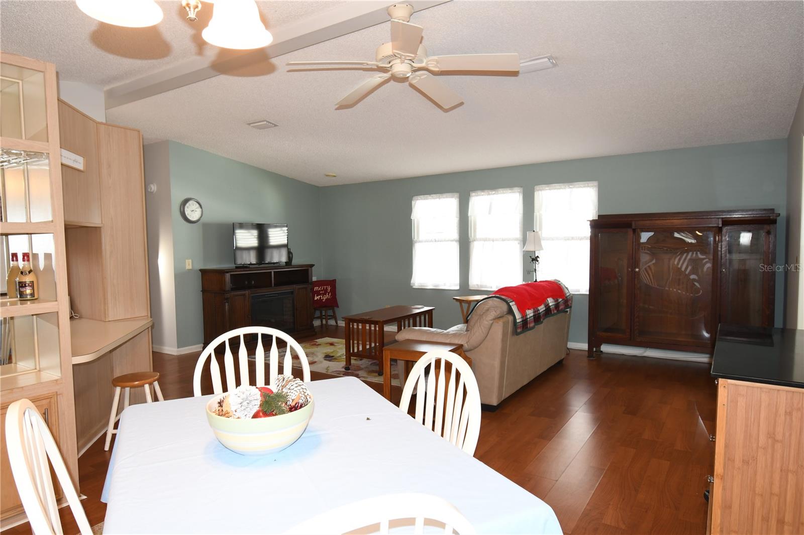 1153 DEL TORO DR, THE VILLAGES, FL, 32159