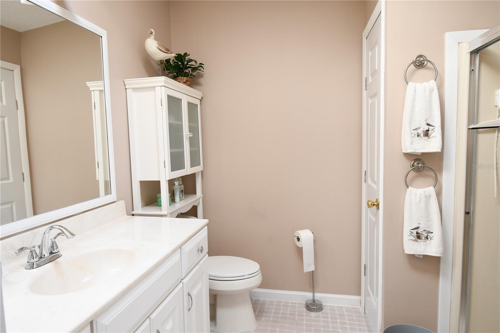 1153 DEL TORO DR, THE VILLAGES, FL, 32159