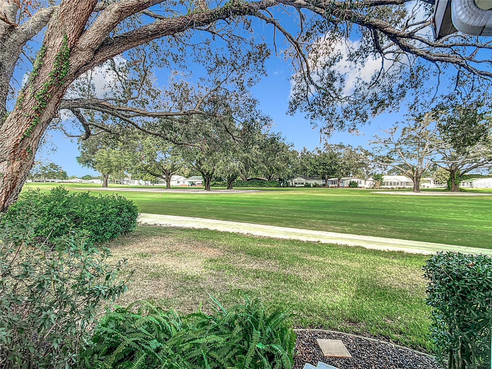 647 RAINBOW BLVD, THE VILLAGES, FL, 32159