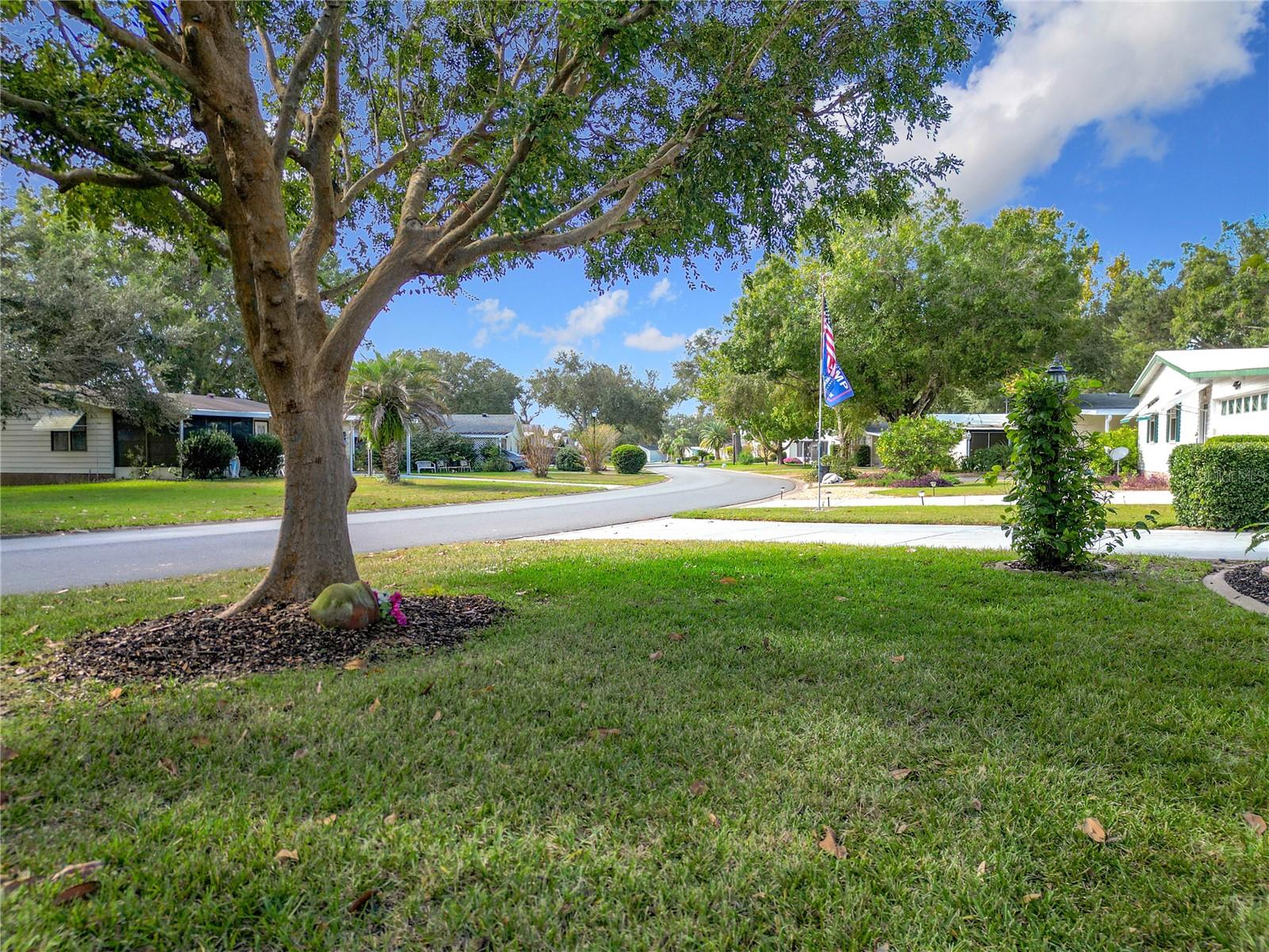 647 RAINBOW BLVD, THE VILLAGES, FL, 32159