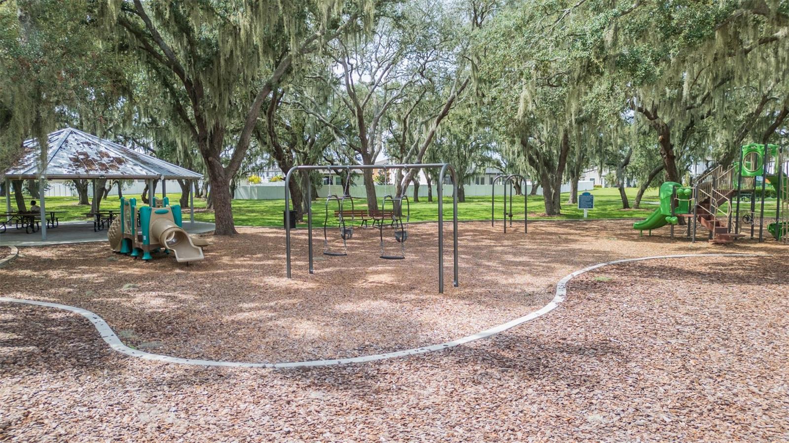 12905 WILDFLOWER MEADOW DR, RIVERVIEW, FL, 33579