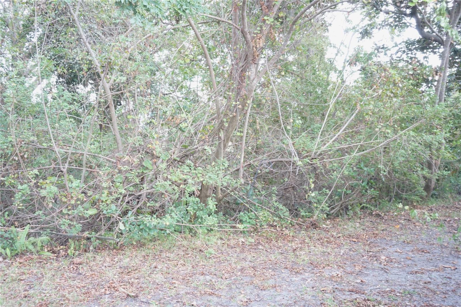 1807 FOXHUNT DR #A, SUN CITY CENTER, FL, 33573