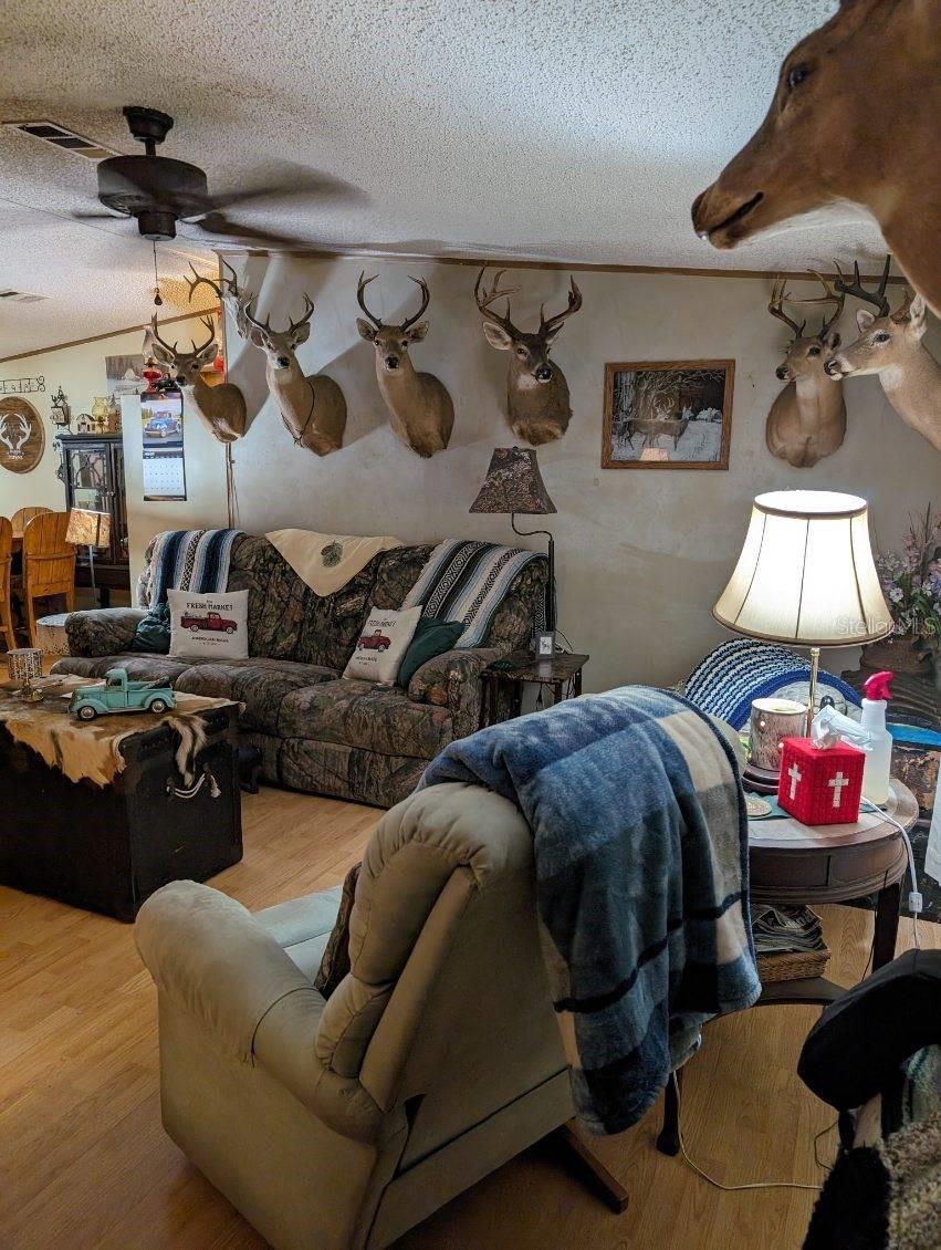 1679 N RIVERDALE RD, AVON PARK, FL, 33825