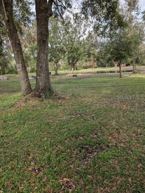 1679 N RIVERDALE RD, AVON PARK, FL, 33825