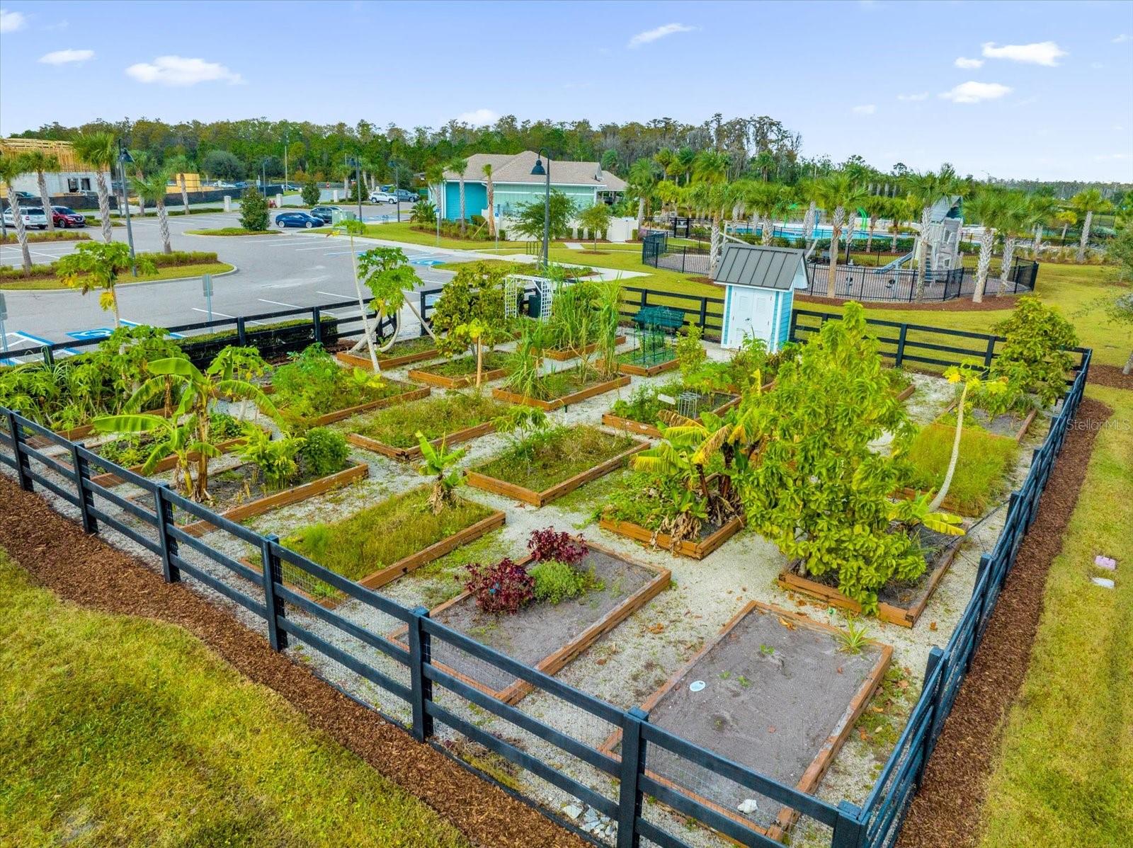 11801 GINSBERG PL, ORLANDO, FL, 32832