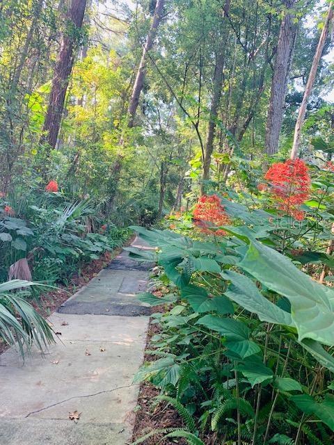 240 MOREE LOOP #2, WINTER SPRINGS, FL, 32708