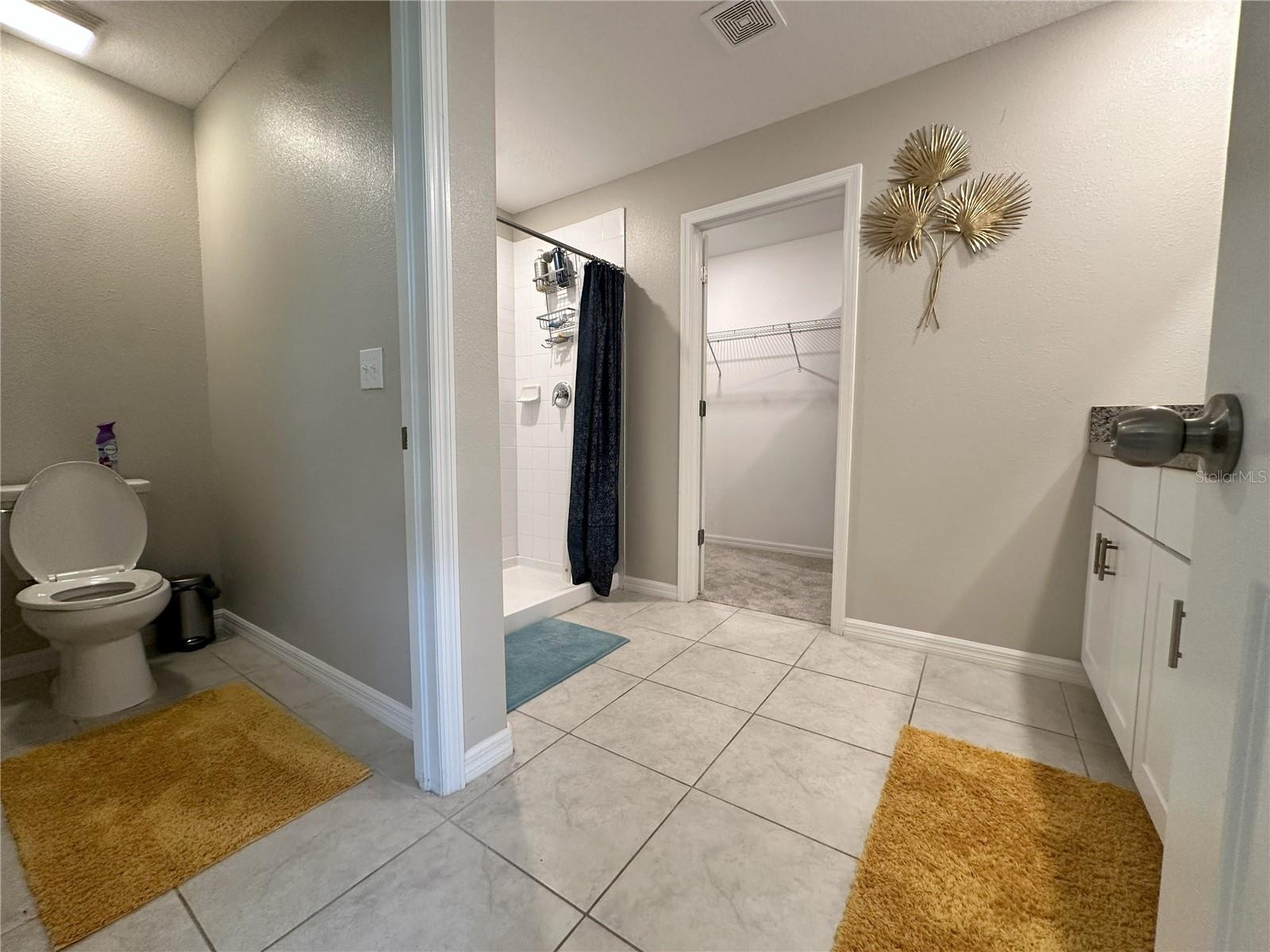 7208 PEARLY EVERLASTING AVE, TAMPA, FL, 33619