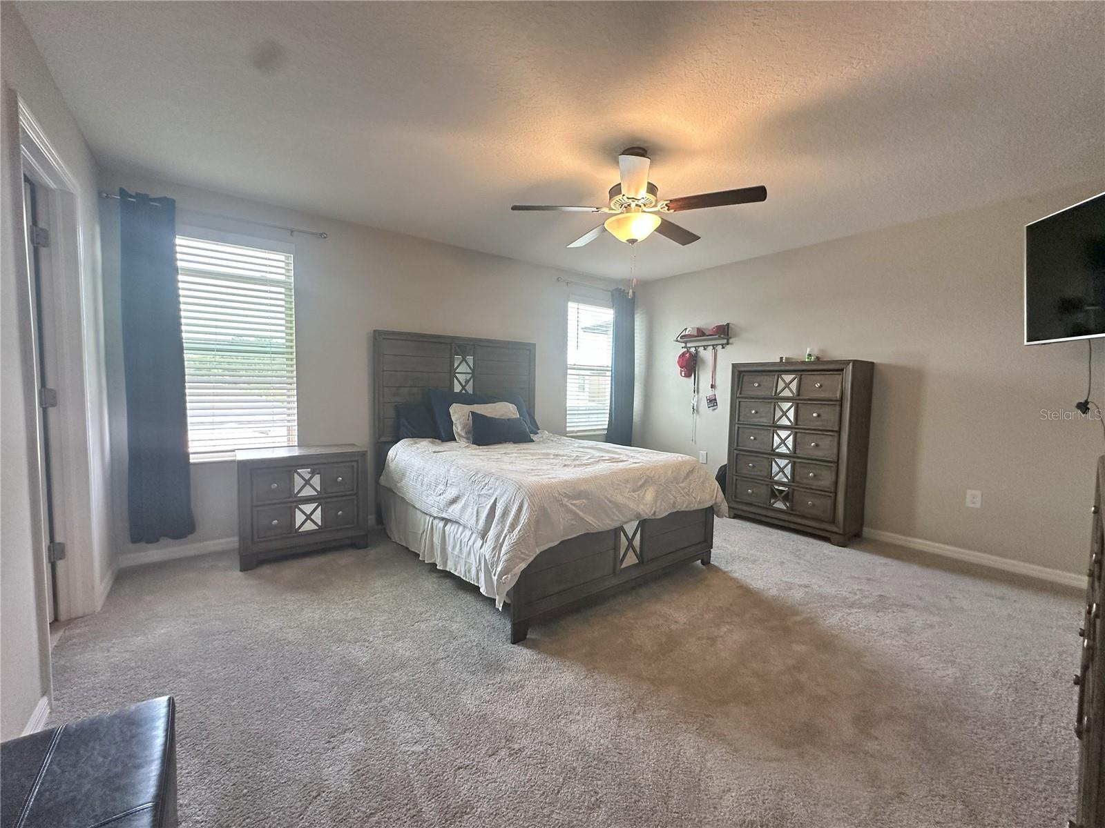 7208 PEARLY EVERLASTING AVE, TAMPA, FL, 33619