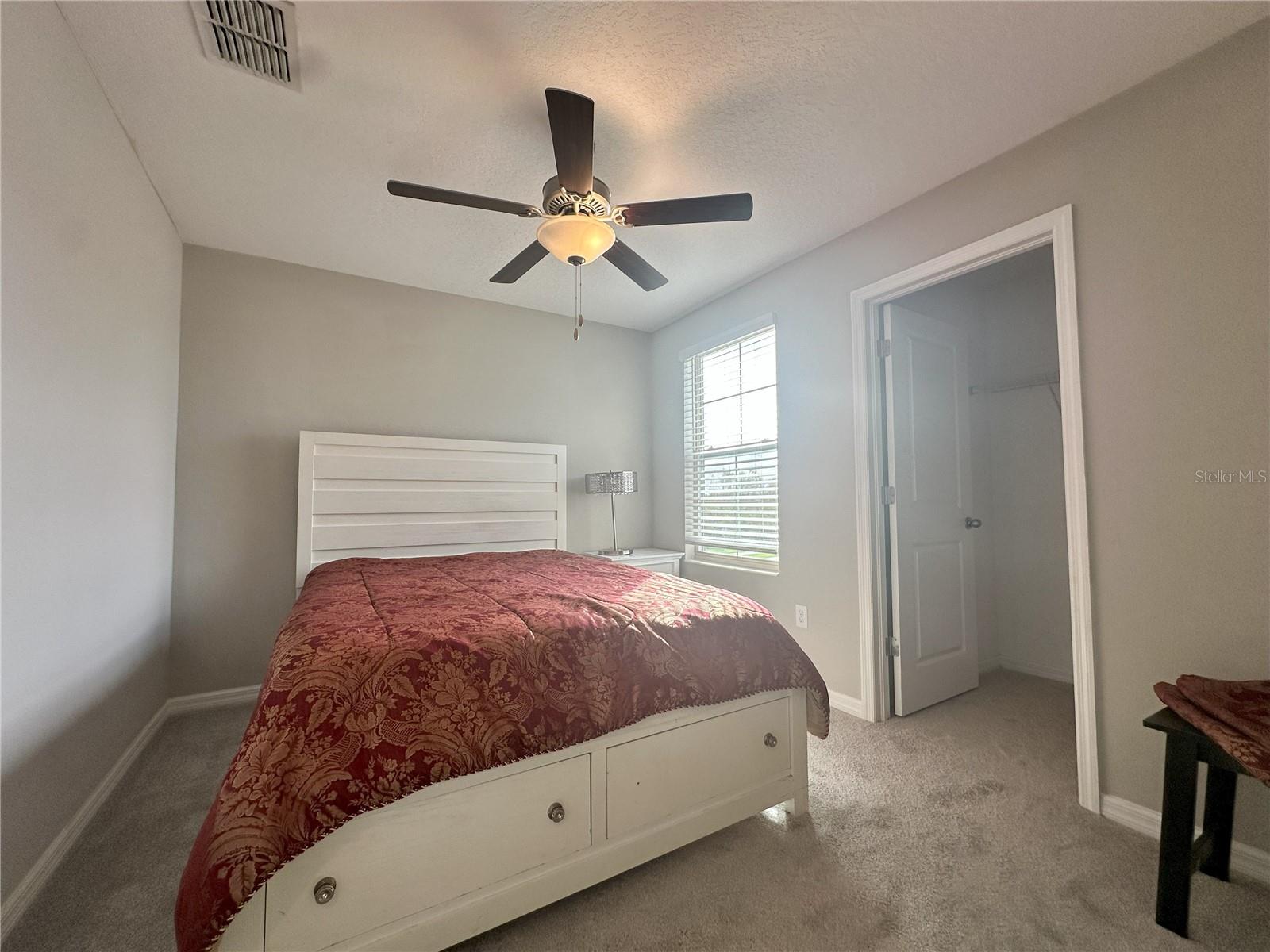 7208 PEARLY EVERLASTING AVE, TAMPA, FL, 33619