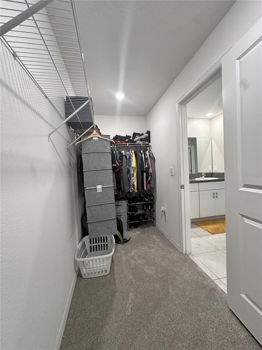 7208 PEARLY EVERLASTING AVE, TAMPA, FL, 33619