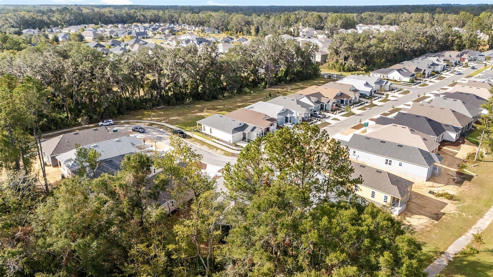 1029 NW 132ND BLVD, NEWBERRY, FL, 32669