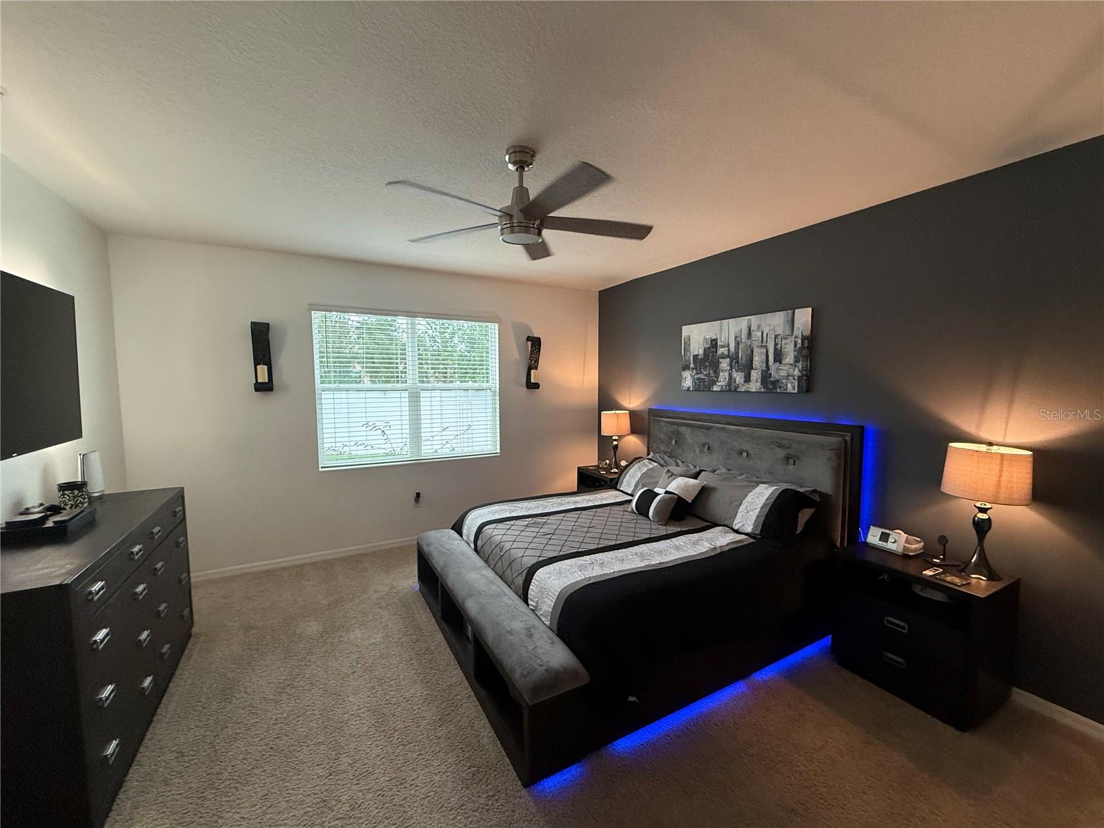 13323 WATERLEAF GARDEN CIR, RIVERVIEW, FL, 33579