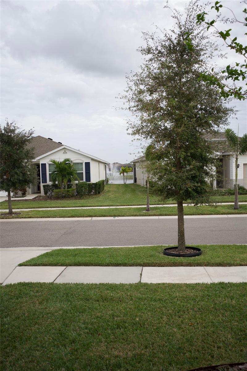 13323 WATERLEAF GARDEN CIR, RIVERVIEW, FL, 33579