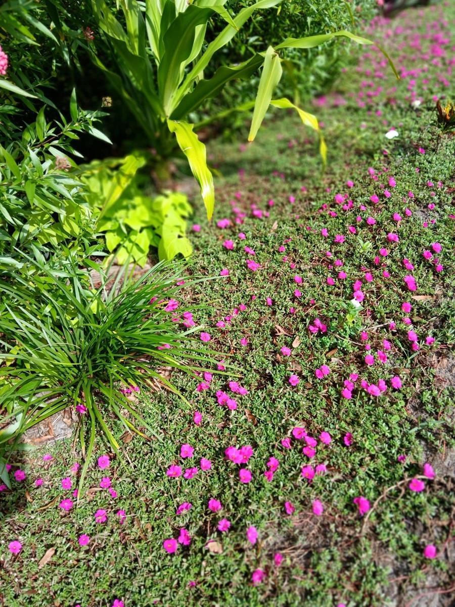 205 FRIESIAN WAY, SANFORD, FL, 32773